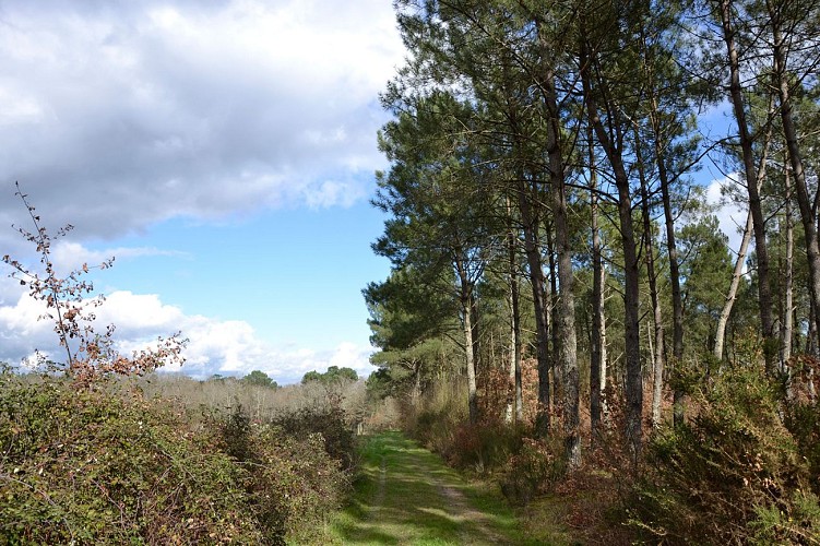 lande-boucle-terrebas-aillas