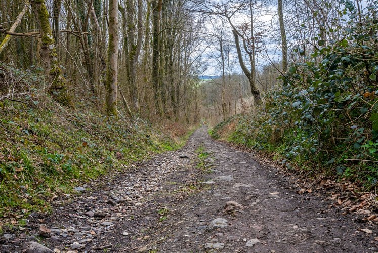 Espace Trail Souchez - Défi des Collines de l'Artois N°5