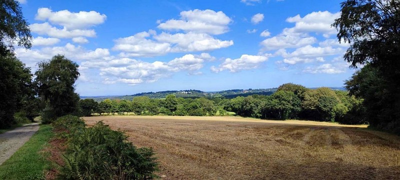 Vue sur le chemin