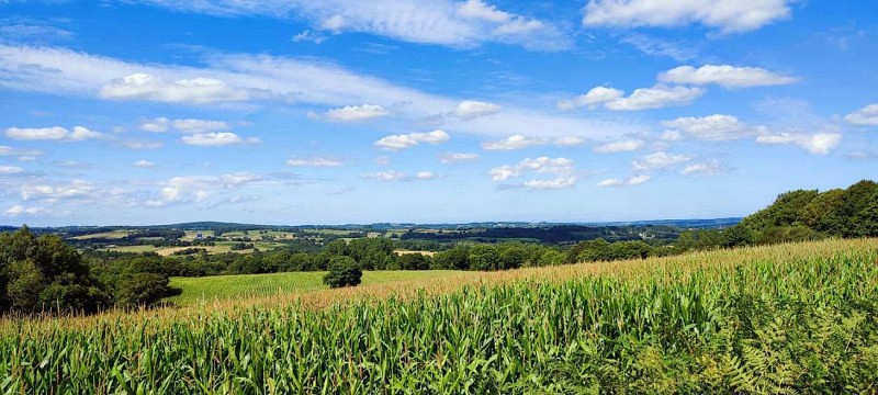 panorama sur le chemin