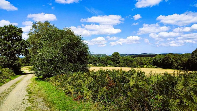 panorama sur le chemin