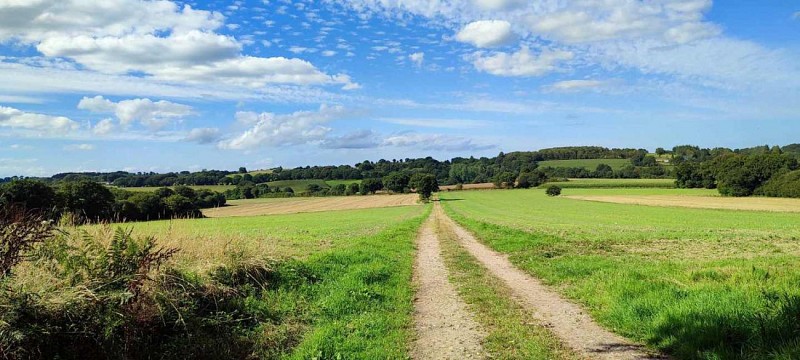 Chemin d'exploitation