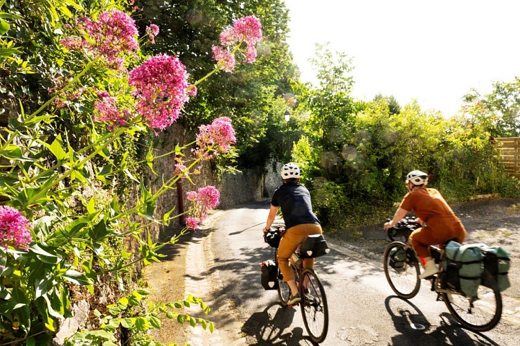 Velo VDL (3) (Large)