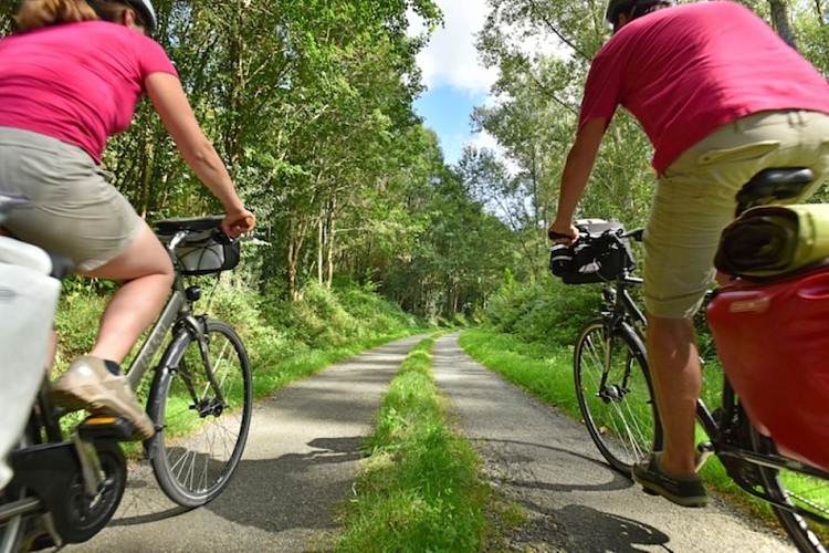 Velo VDL (2) (Large)