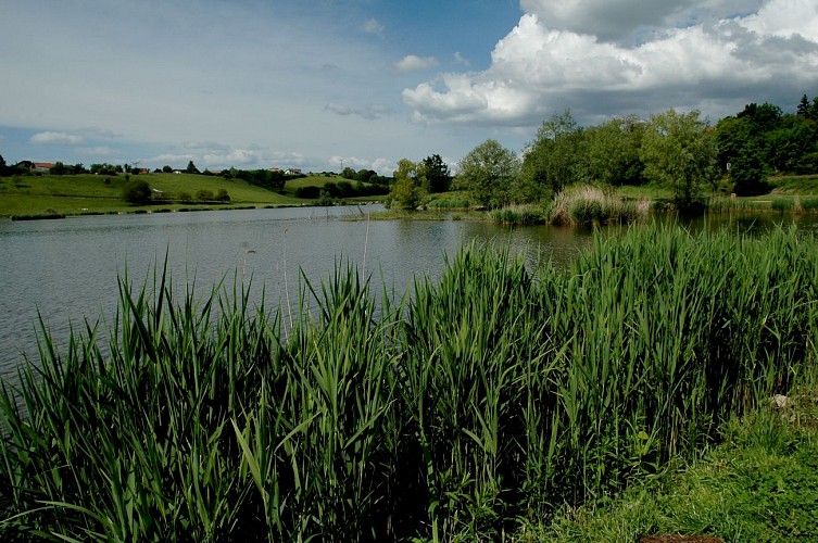 Anello pedonale : Le Signal des Voirons