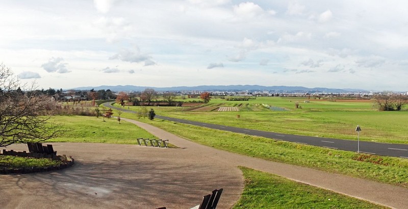 Chassieu - Biézin nature