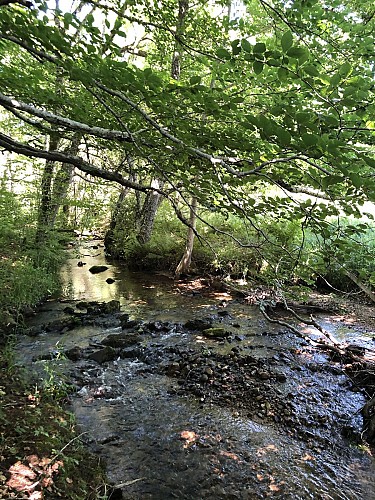 La balade Monteliote_Lamontélarié