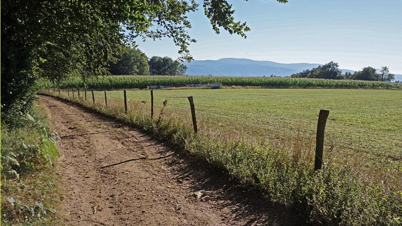 The hills of la Môle