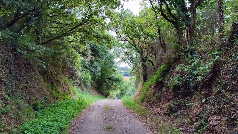 Circuit du Trieux - Maison Seznec | Penhoat