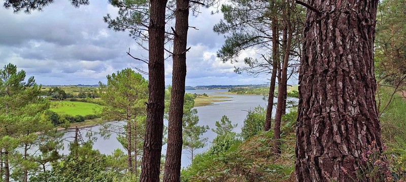 Circuit du Trieux - Maison Seznec | Penhoat