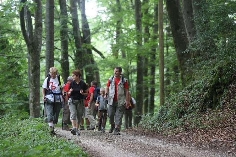 Le sentier du chevreuil