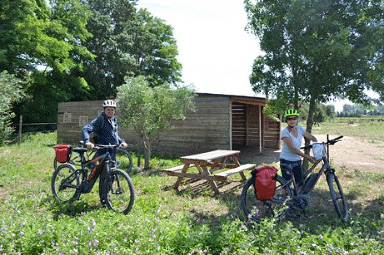 Découverte à vélo de la campagne de Narbonne et du Massif de la Clape