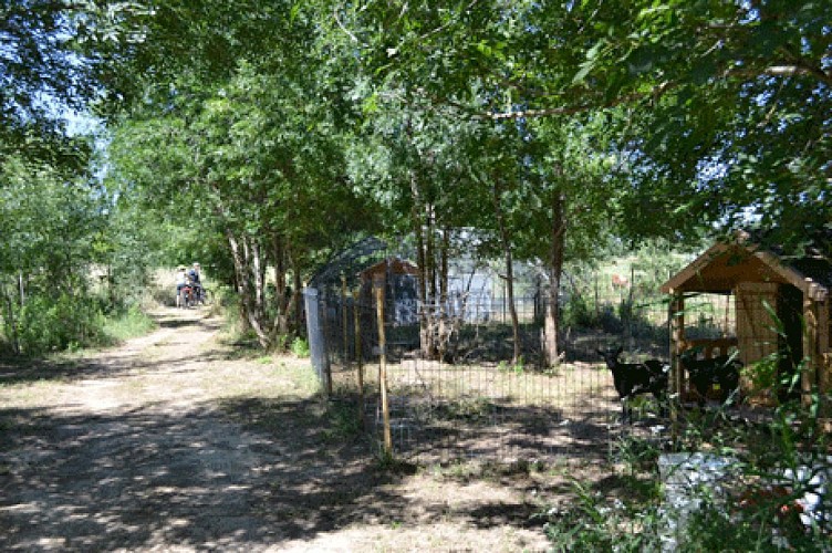 Découverte à vélo de la campagne de Narbonne et du Massif de la Clape