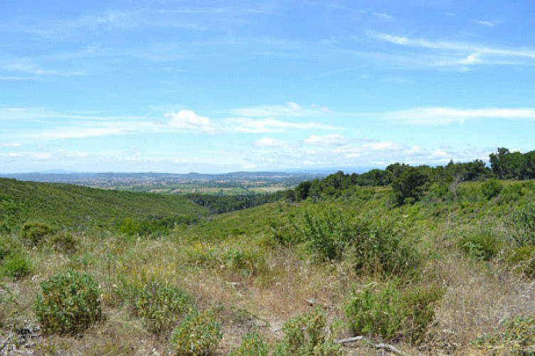 Découverte à vélo de la campagne de Narbonne et du Massif de la Clape