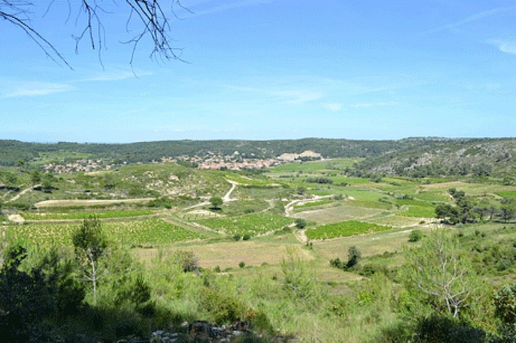 Découverte à vélo de la campagne de Narbonne et du Massif de la Clape