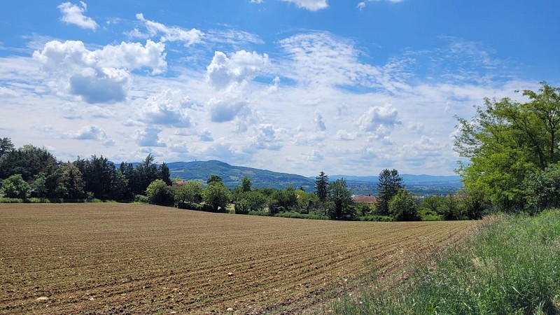 Vue sur les Monts d'Or