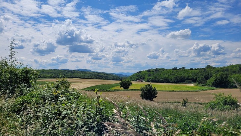 Vue sur les Monts d'Or
