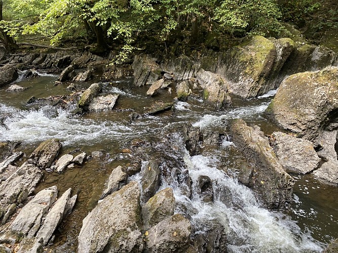 Rapides de la Lesse (2)