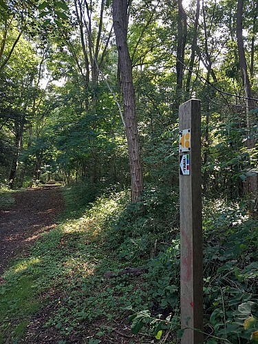 Espaces Trail Lens Liévin - Station de Wingles - Parcours bleu N°31