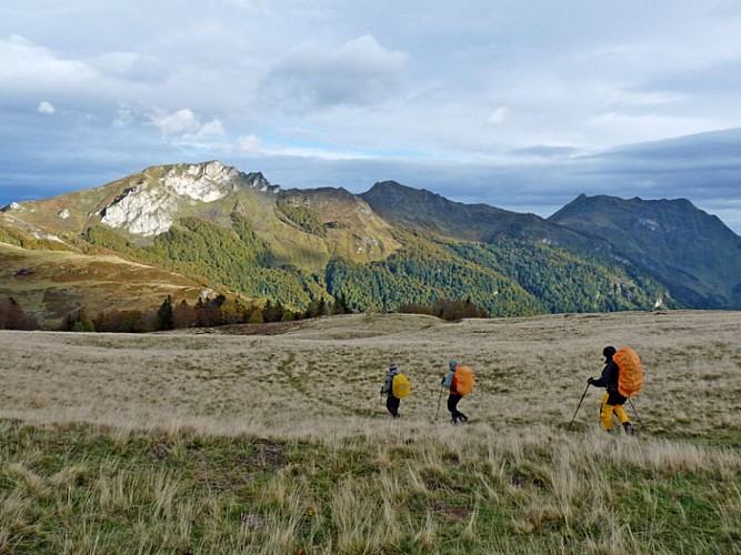 Plateau de Besse