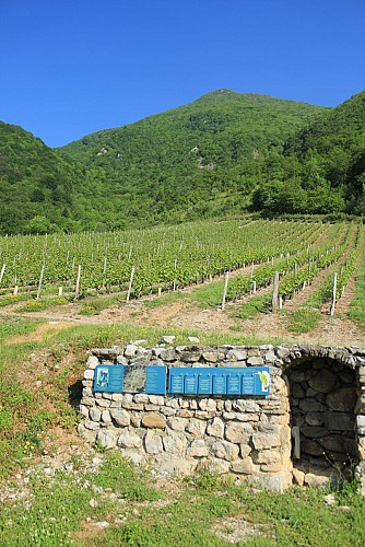 Sentier des Papillons