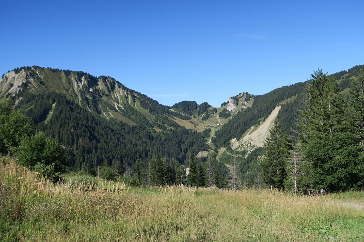 Graydon par la télécabine_Saint-Jean-d'Aulps