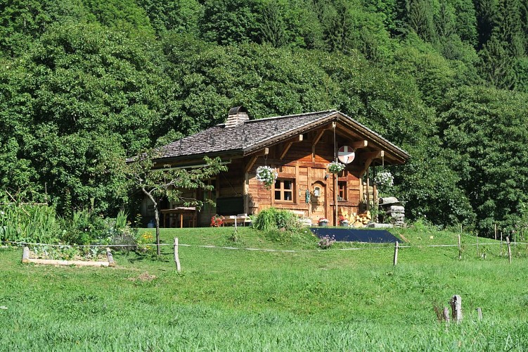 Graydon par la télécabine_Saint-Jean-d'Aulps