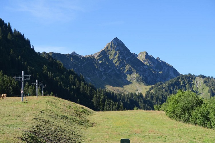 Graydon par la télécabine_Saint-Jean-d'Aulps