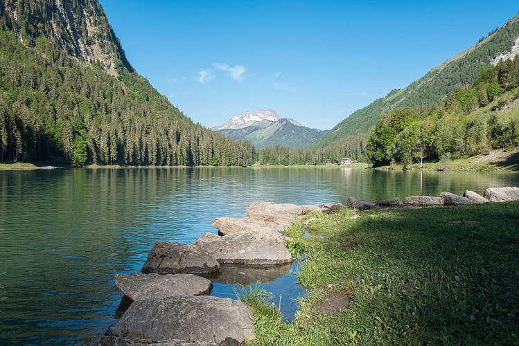 Walking trail: from the center of Montriond to the lake