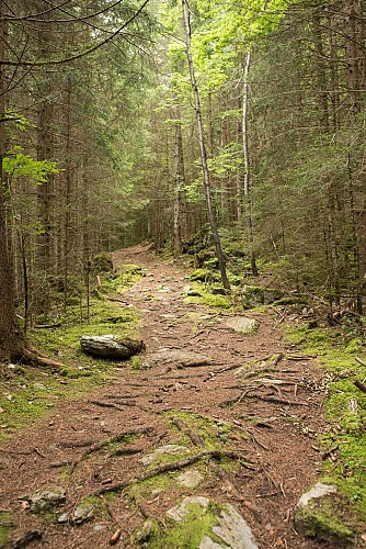 Walking trail: from the center of Montriond to the lake