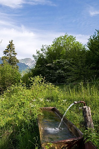 Alpage de l'Haut-Thex walk