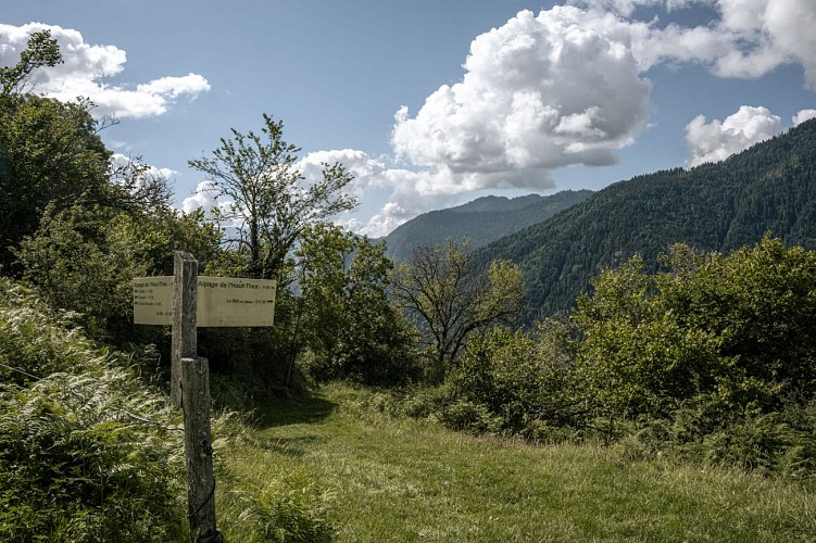 Alpage de l'Haut-Thex walk_Le Biot