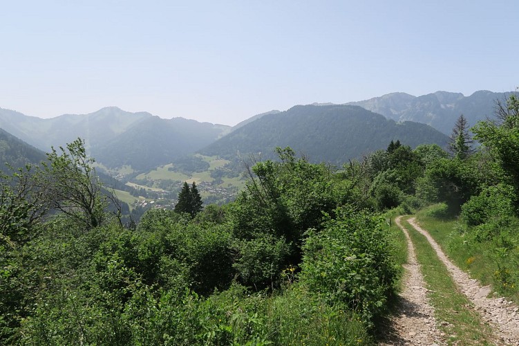 Alpage de l'Haut-Thex walk_Le Biot