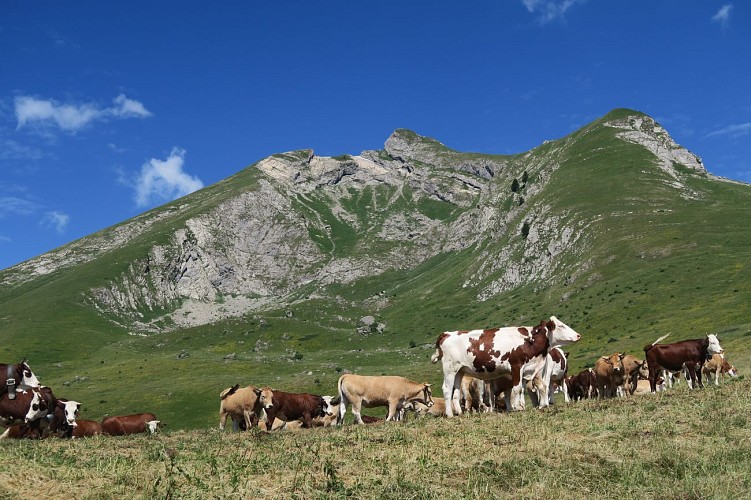 Tour du Char des Quais_La Côte-d'Arbroz