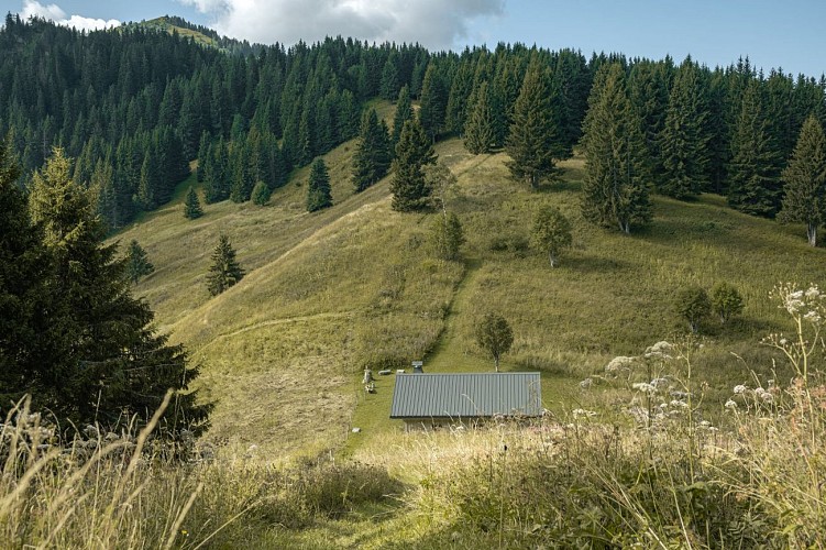 Petit tour des Crêtes de Seytroux hiking trail_Seytroux