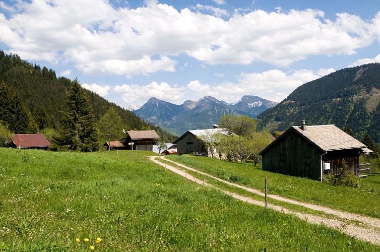 Petit tour des Crêtes de Seytroux