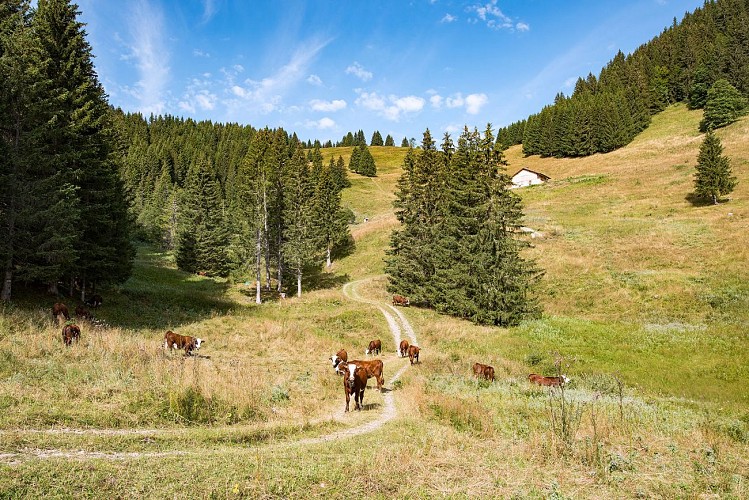 Grand Tour des Crêtes de Seytroux