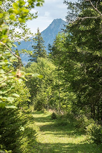 Grand Tour des Crêtes de Seytroux