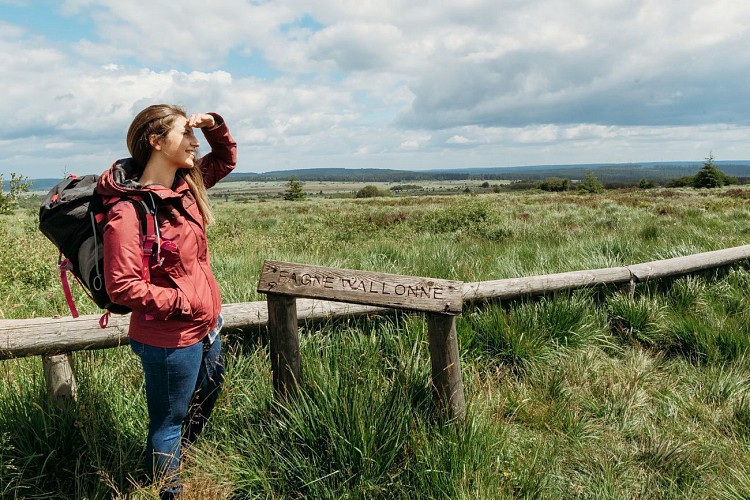 Parc Naturel des Hautes Fagnes