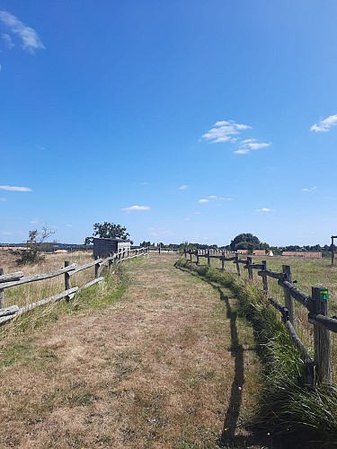 Sentier du Bourg - Saint Prouant