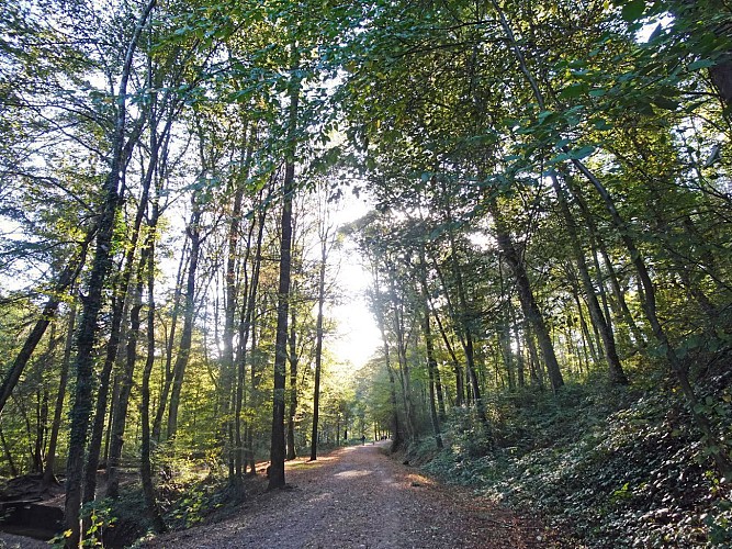Allée du parc Lacroix-Laval