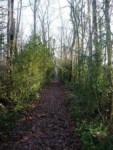 queyssac-boucle des orchidees