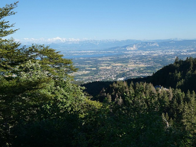 Hiking: from La Faucille - viewpoint at La Redoute