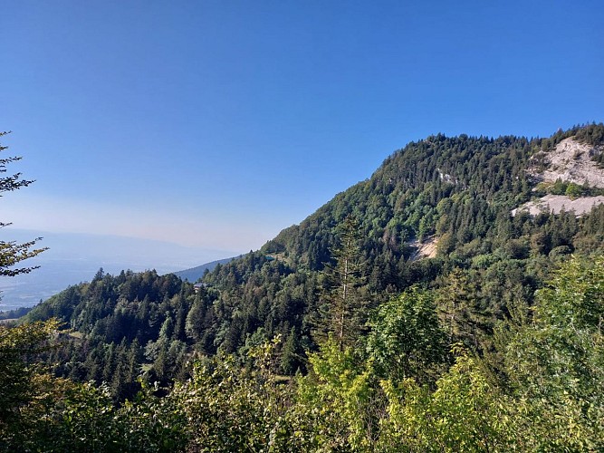 Hiking: from La Faucille - viewpoint at La Redoute