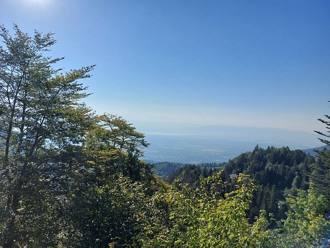 Hiking: from La Faucille - viewpoint at La Redoute