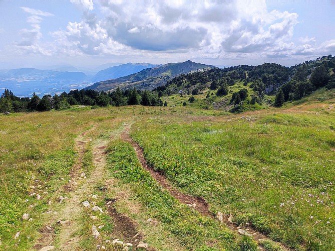 Chemin menant au Crêt de la Neige