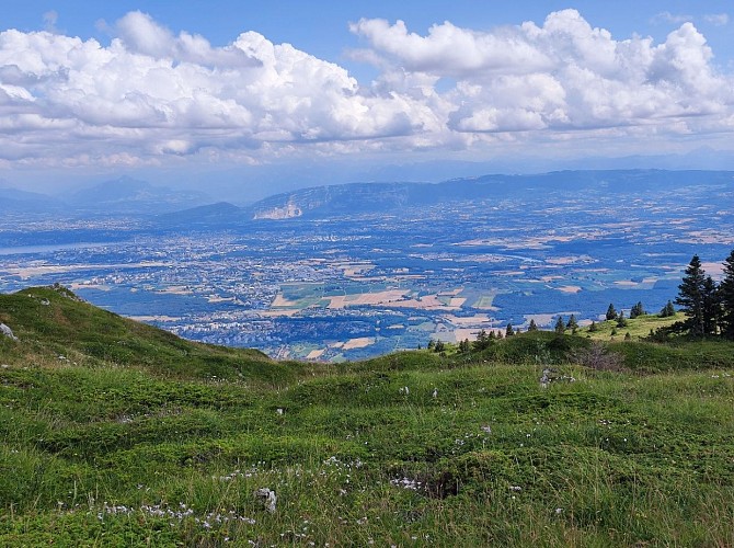 Vue sur le bassin Lémanique