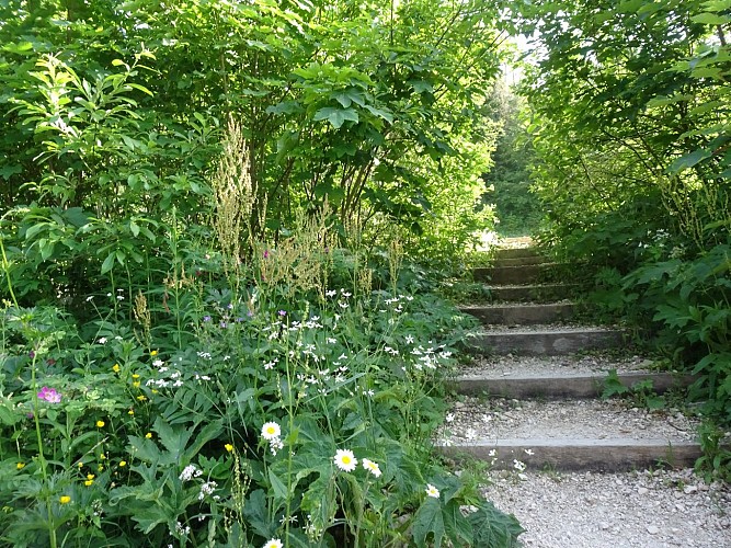 Wandern: Le Petit Montrond - la Faucille