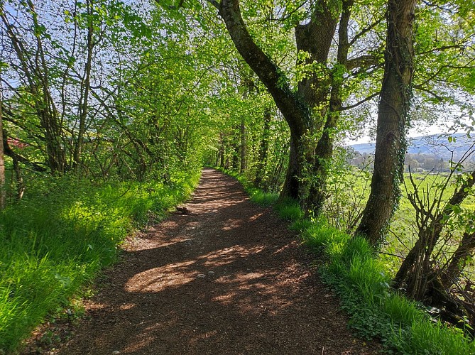 Hiking: Gex - Vesancy via Chapelle Riantmont