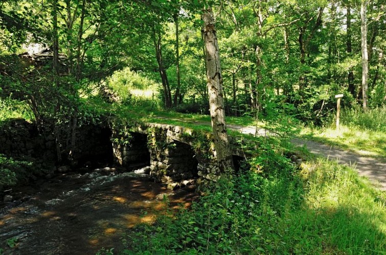 Pont de pigasse en orgues basaltiques, ancienne voie romaine